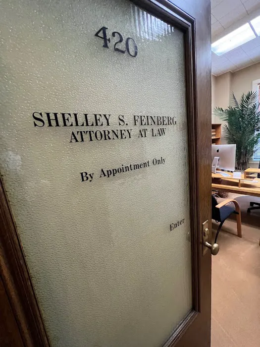 Law Office of Shelley S Feinberg 5
