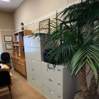 Law Office of Shelley S Feinberg ico
