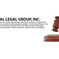 Ideal Legal Group, Inc. ico