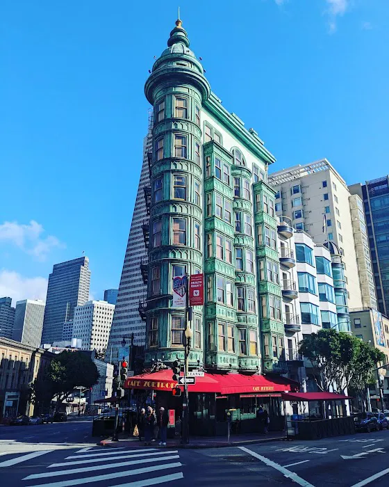 Bushnell Caplan & Fielding 5