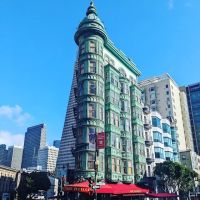 Bushnell Caplan & Fielding ico