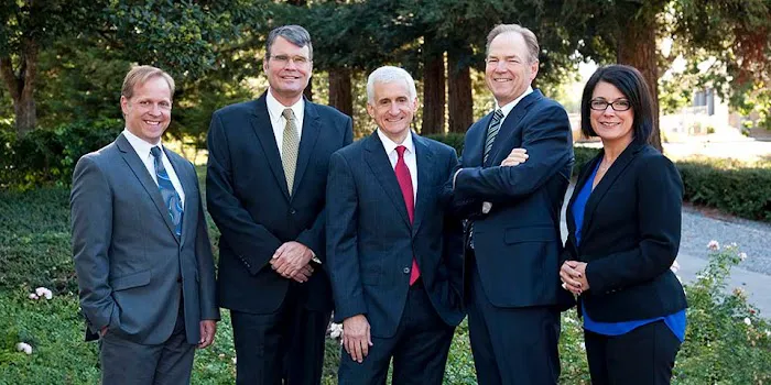 Friedemann Goldberg LLP 5