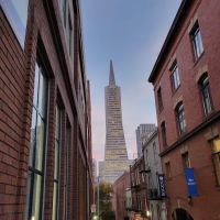 Harris Personal Injury Lawyers, Inc. ico
