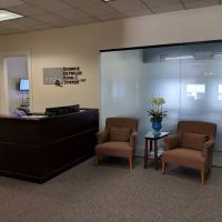 Dudnick Detwiler Rivin & Stikker LLP ico