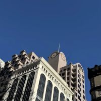 Selman Breitman LLP ico