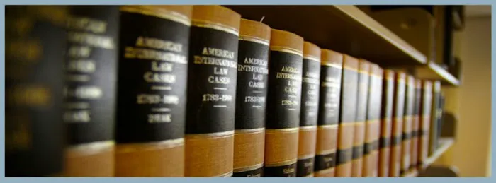 Vereschagin Law Firm 5