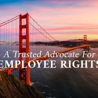 The Law Offices of Jeannette A. Vaccaro PC ico