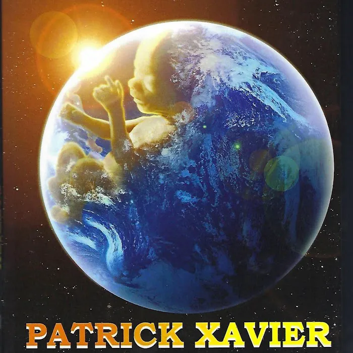Law Offices of Patrick X. Amoresano 4