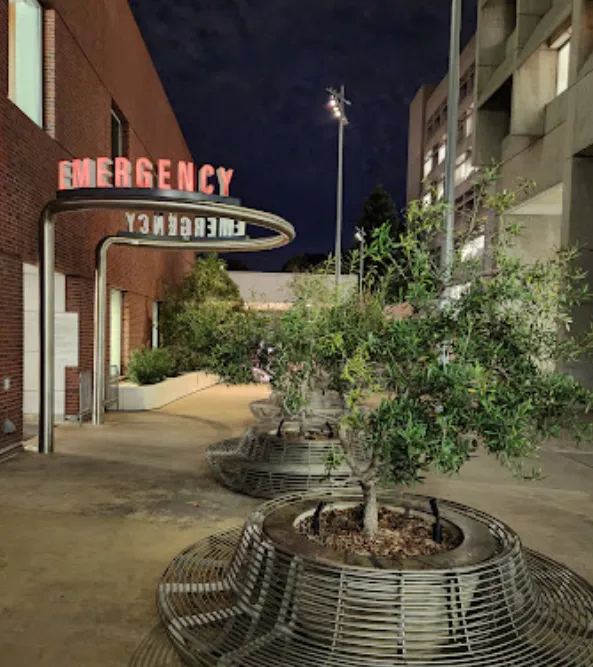 Nadrich Accident Injury Lawyers 5
