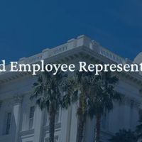 Webber & Egbert Employment Law, P.C. ico