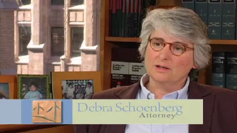 Schoenberg Family Law Group, P.C. - Divorce Attorneys 5