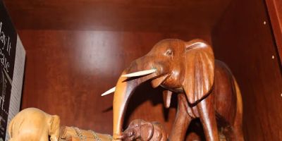 Gary R. Hillerich - Attorney at Law