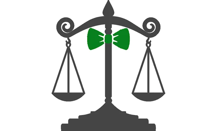 Jonathan P. Bourlier, Trial Attorney 4