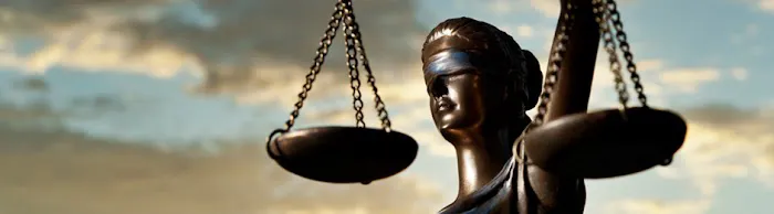The Dickerson Firm DUI & VGCSA Attorneys 5