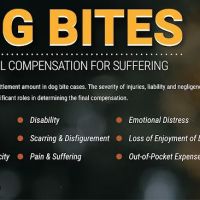 Murphy Law Georgia's Car Accident Lawyer ico