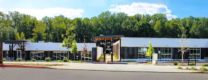 Lazega & Johanson LLC 5