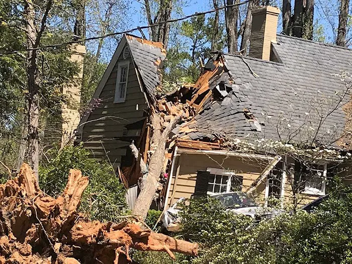 Insurance Claims Assistance 5