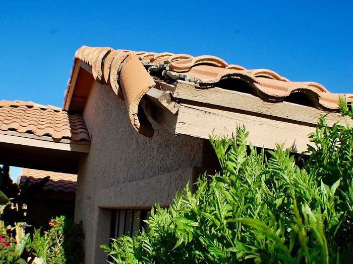 Insurance Claims Assistance 5