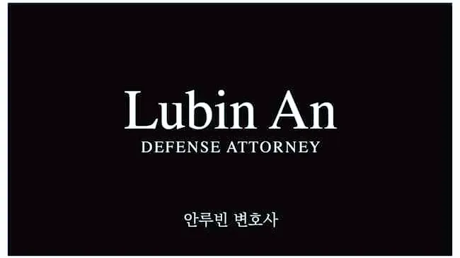 LUBIN AN LAW 5
