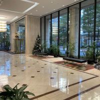 Monge & Associates Injury and Accident Attorneys ico