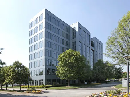 Saedi Law Group, LLC 4