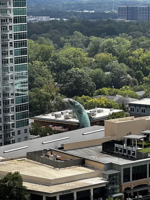 Deitch & Rogers LLC 5