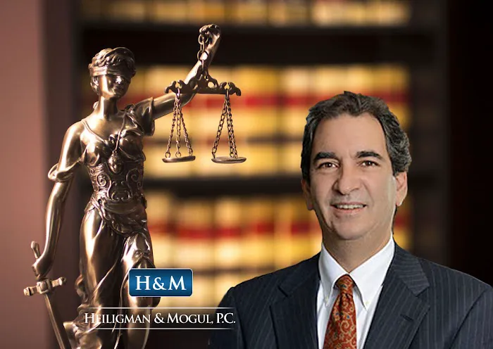 Heiligman & Mogul 5