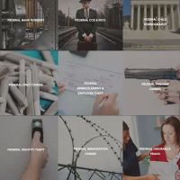 The Law Firm of Shein, Brandenburg & Schrope ico