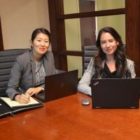 Lee and Cohen Law ico