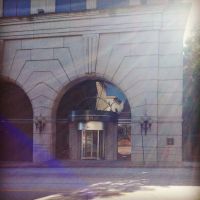 The Sandifer Law Firm, LLC ico