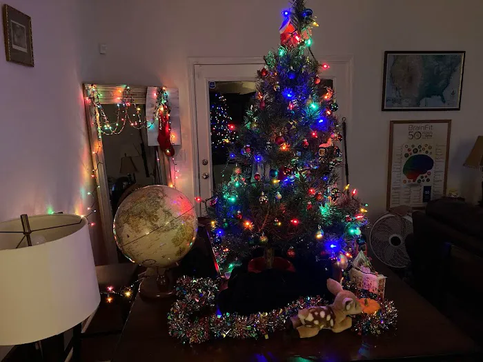 The Law Office of John A. Snyder, Esq. 5