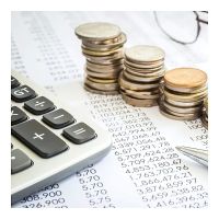 Natasha Telfair INC ico