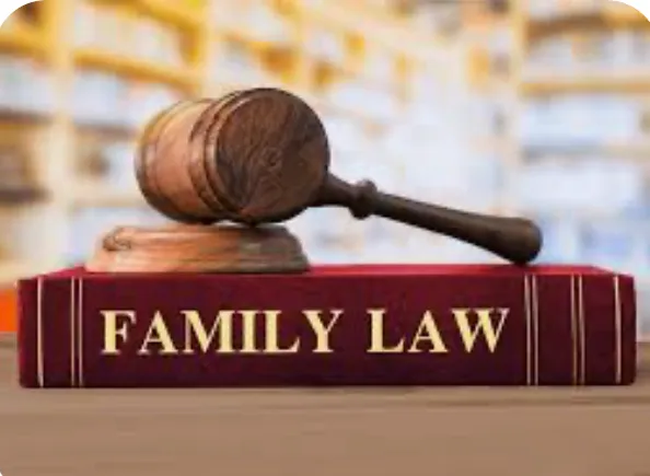 Salice Law. 5