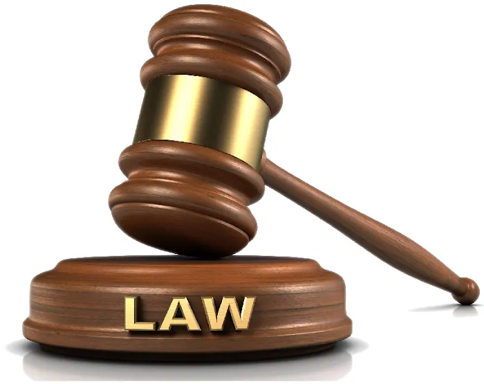 Kalantarov Immigration Lawyer 4