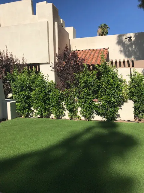Plattner Verderame Arizona Injury Lawyers 5
