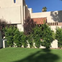 Plattner Verderame Arizona Injury Lawyers ico