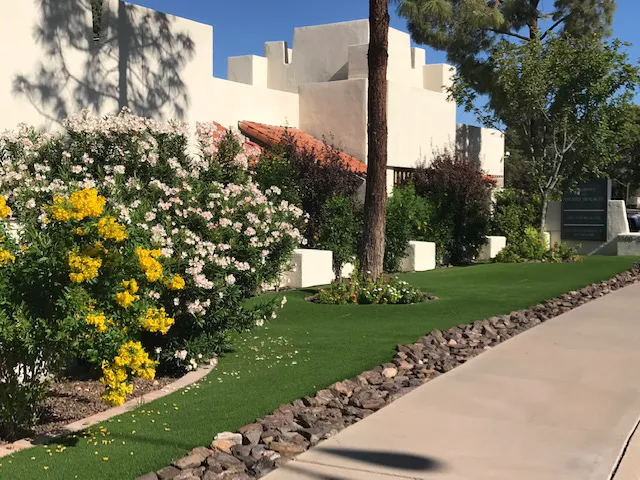 Plattner Verderame Arizona Injury Lawyers 5