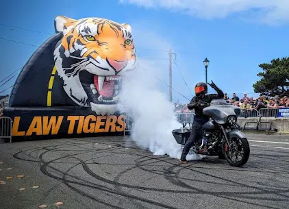 Law Tigers 4