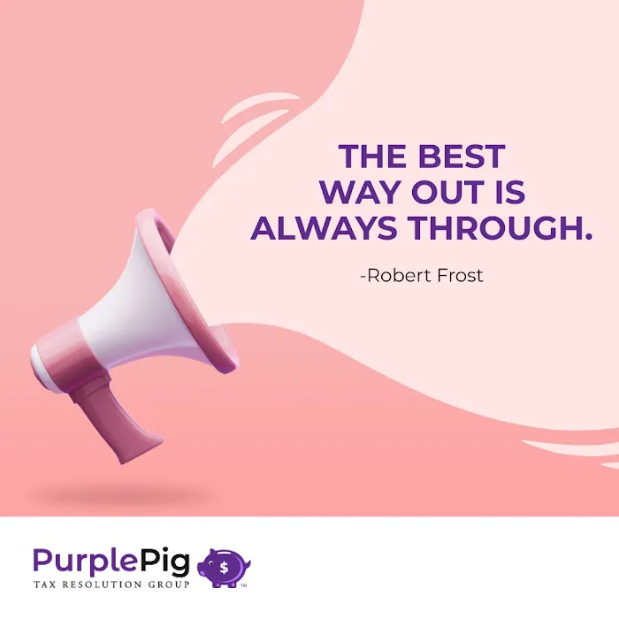 Purple Pig Group 5