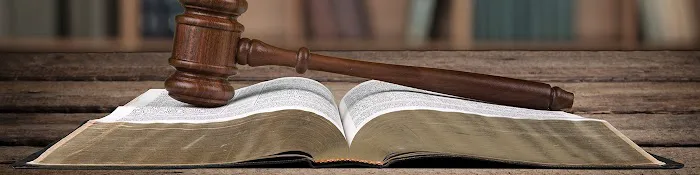 Michael Walz - Attorney at Law 5
