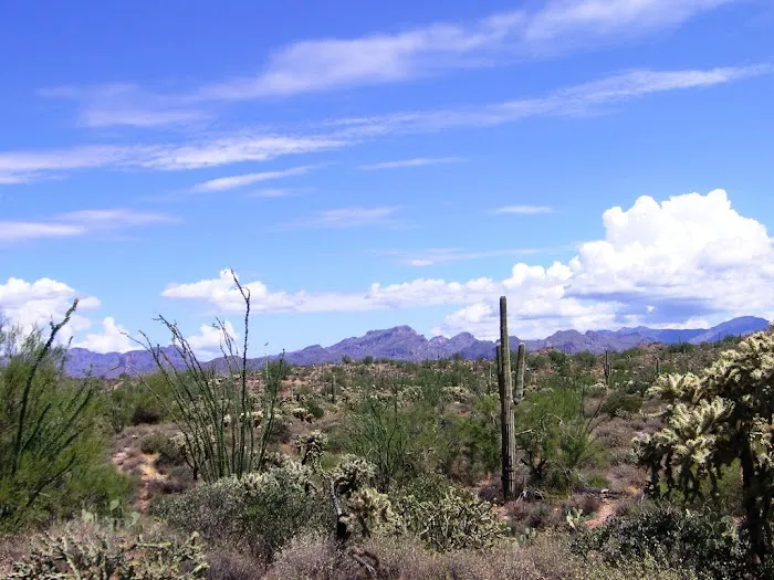 Knapp & Roberts - Phoenix 5
