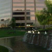 Thomas H Allen, Bankruptcy Attorney ico