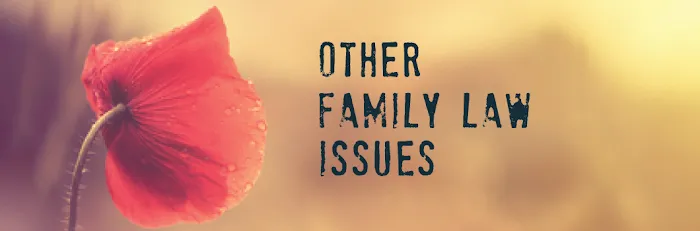 Hernandez Family Law 5