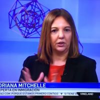 Law Office of Adriana Mitchell ico