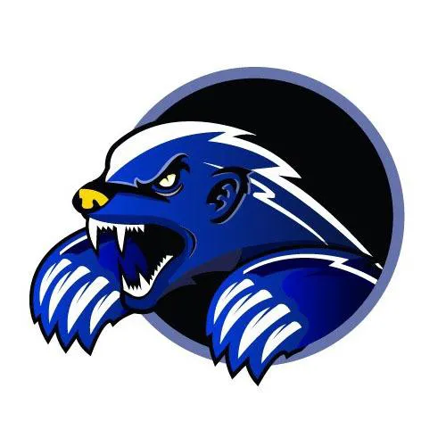 Law Badgers 5