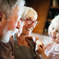 Grandparents Rights ico