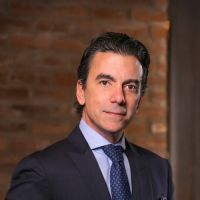 Spector Gadon Rosen Vinci P.C. ico