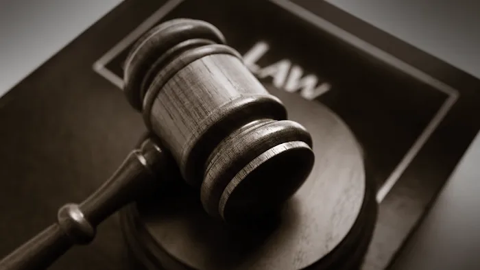Attorney BIG AL - Jason Fine 5