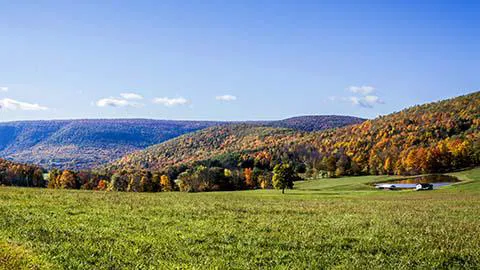 Bleczinski Kleiman & Klein, LLC 4