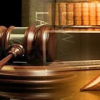 Whitman LLC ico